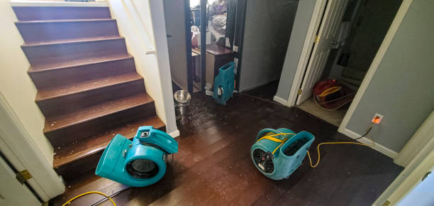  Fort Mohave, AZ Water damage restoration Pros