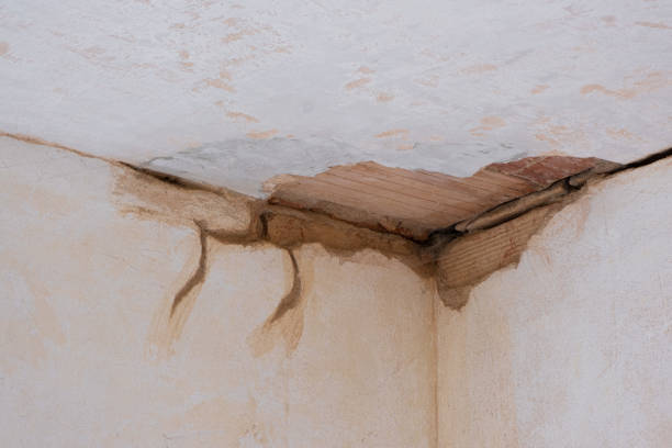 Best Professional water damage repair  in Fort Mohave, AZ