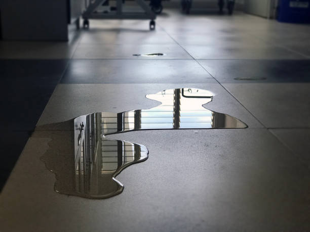 Best Carpet water damage restoration  in Fort Mohave, AZ