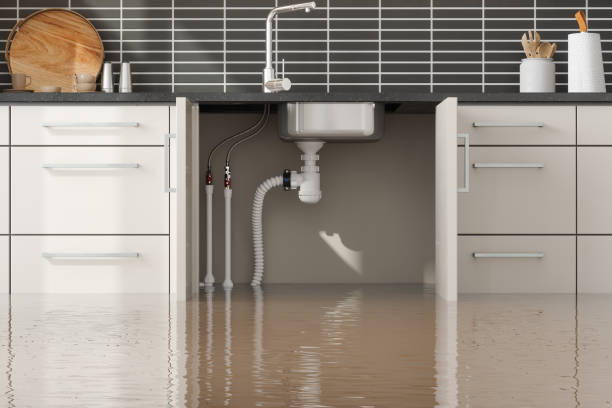 Best Flood damage cleanup  in Fort Mohave, AZ