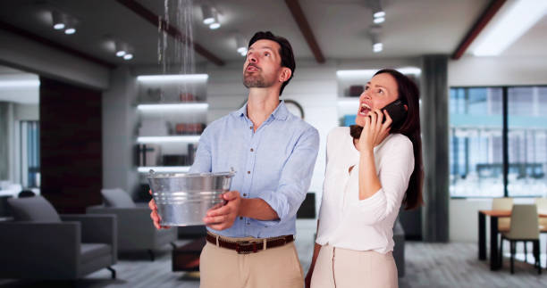 Best Water damage restoration experts  in Fort Mohave, AZ