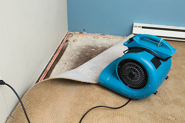 Best Basement water damage restoration  in Fort Mohave, AZ